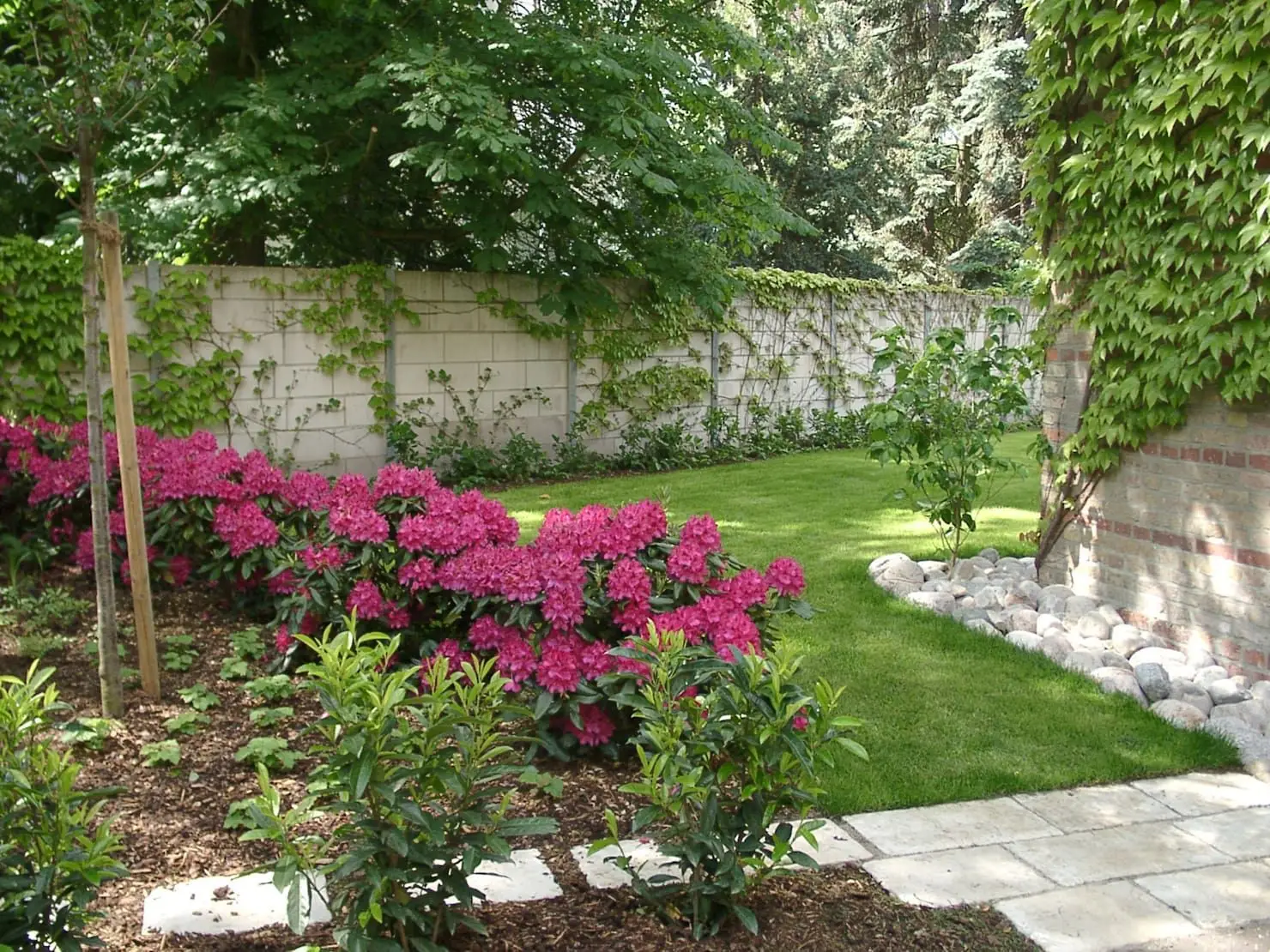 L’errore che fanno tutti quando calcolano il costo di un giardino: ecco le spese reali